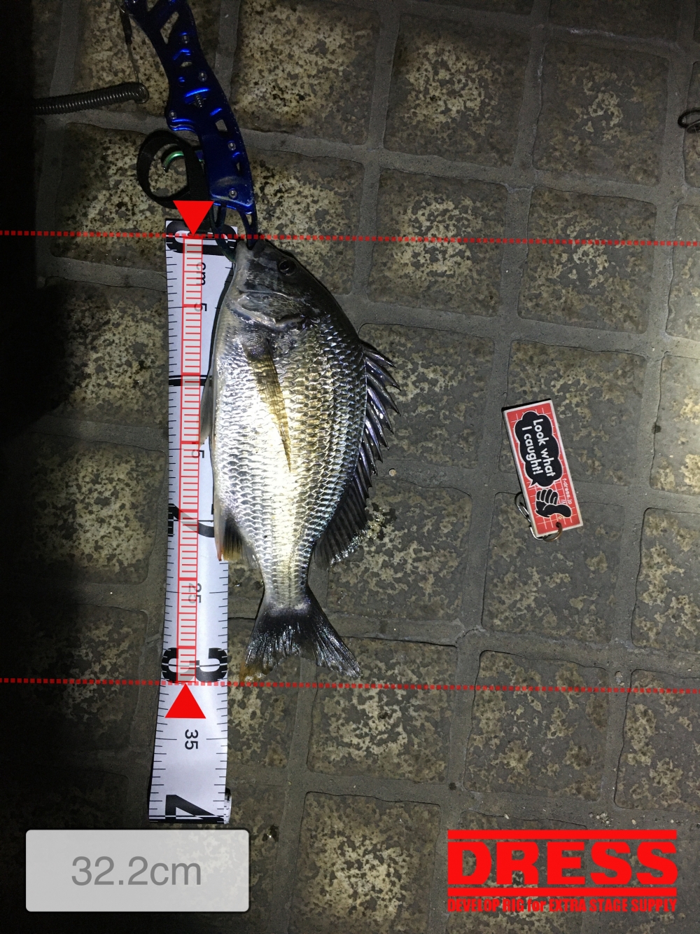 11119_0_e05a2aec31badf3b125b68ba3a551337