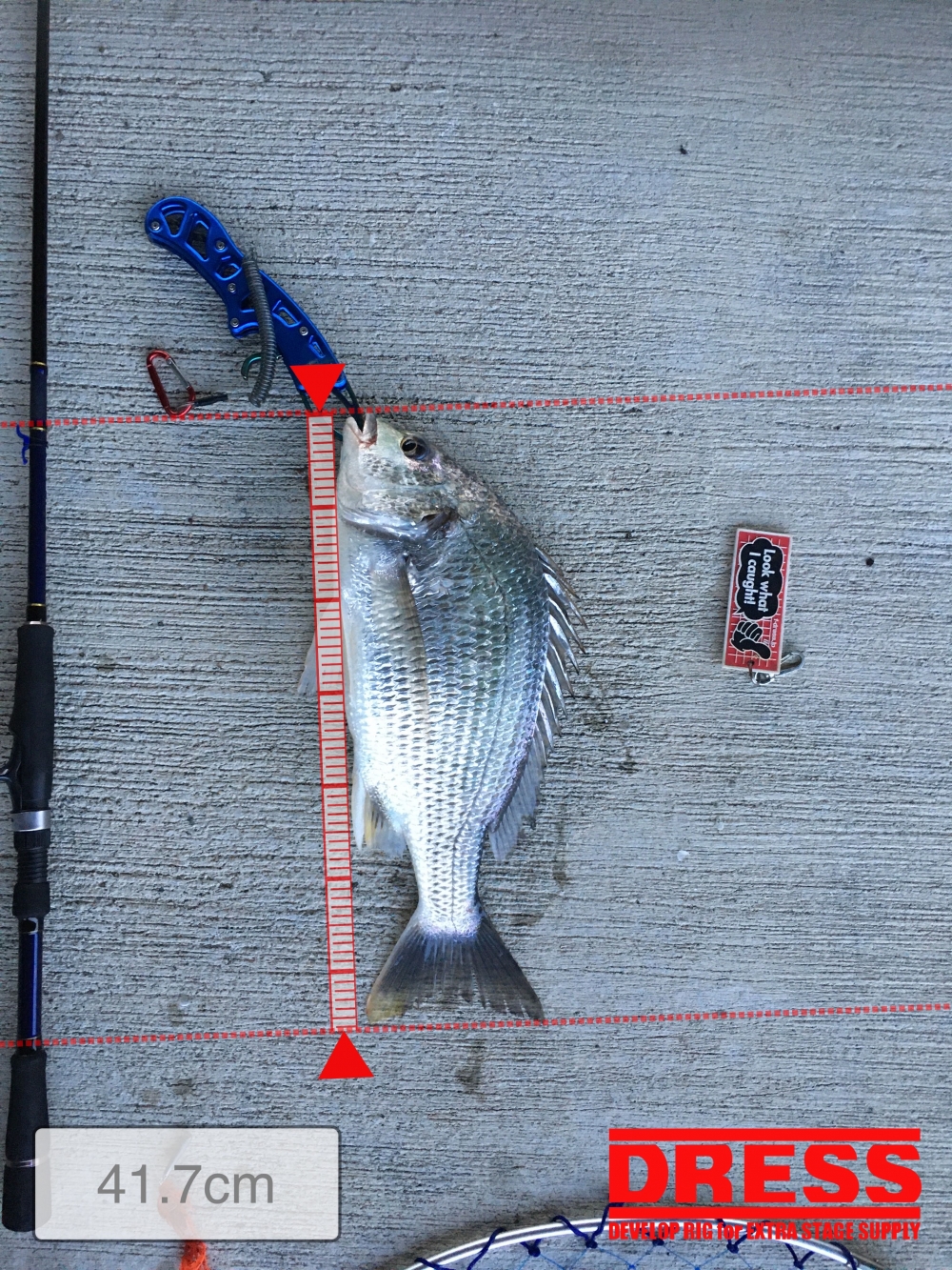 11119_0_eb295a36266f02ca7383eec87ca2f381