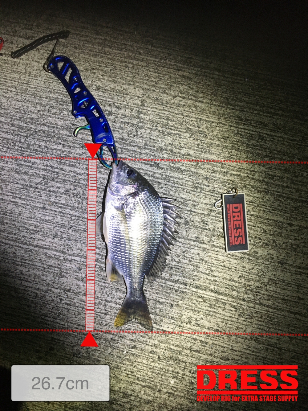 11119_0_fafb12ed56467d36c437e8665c499b07