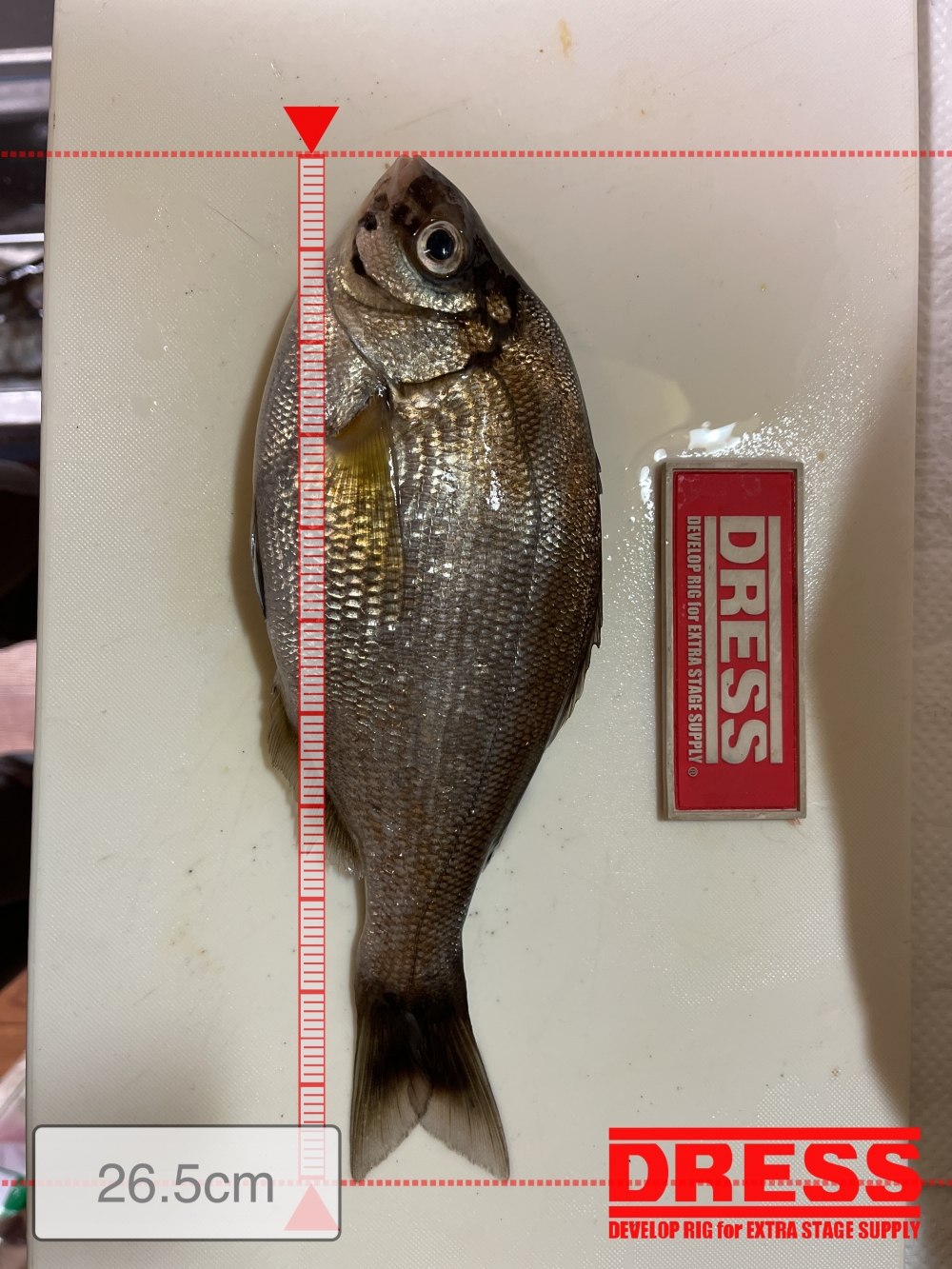 1111_0_6c4fb5ccab69f96dceda89cc03bc9e37