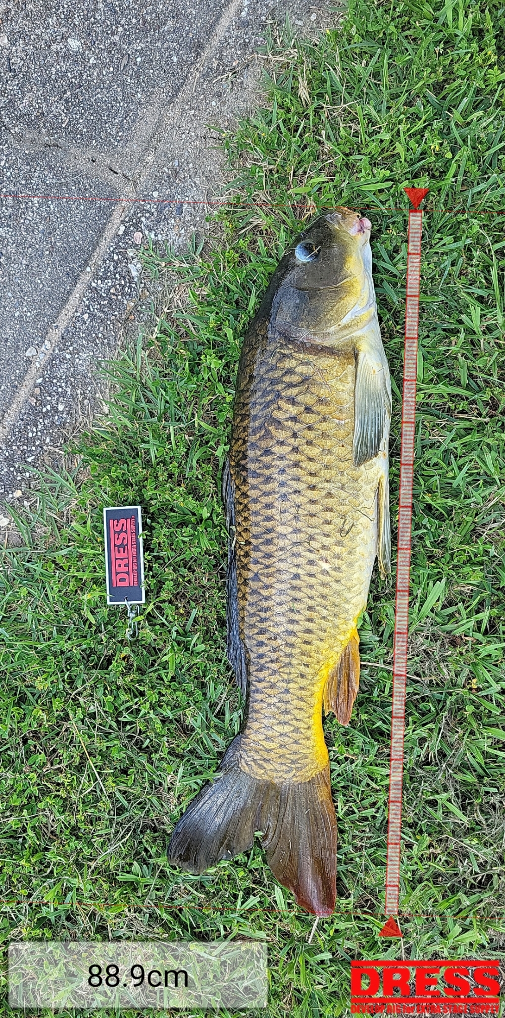 11140_0_1dd96345f0a71004fa48988f09b22952