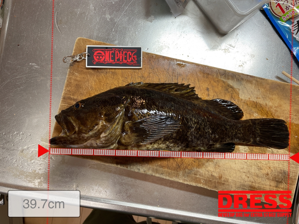 11170_0_823666bb06e4093e4991318c4ff0356f