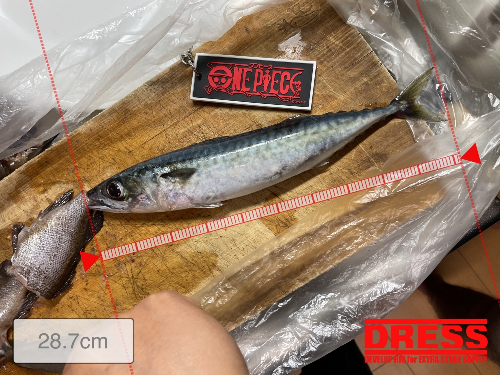 11170_0_c74bd0f42814e7a4cb711234f08dc5b8