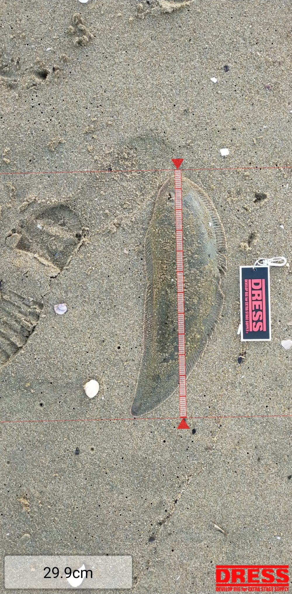 11215_0_11caa5a78451382d943d2f597c4fce3b