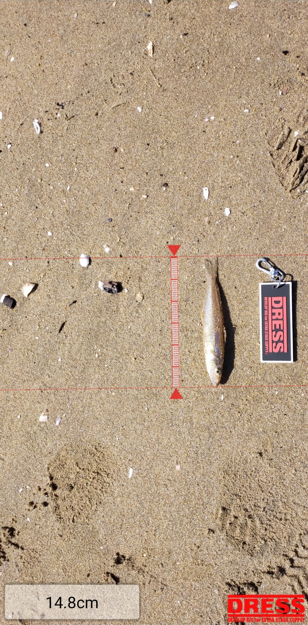 11215_0_59244053cd60ad324af8a335c2848374