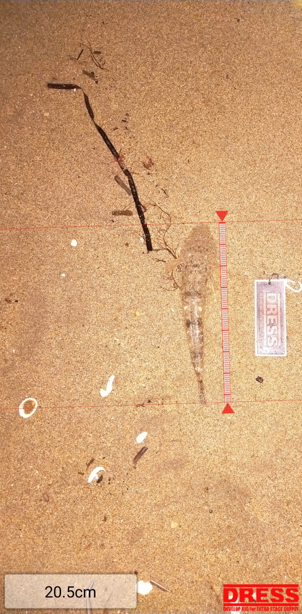 11215_0_73d4bdcfb3a98372546ab81bc72e6fe4