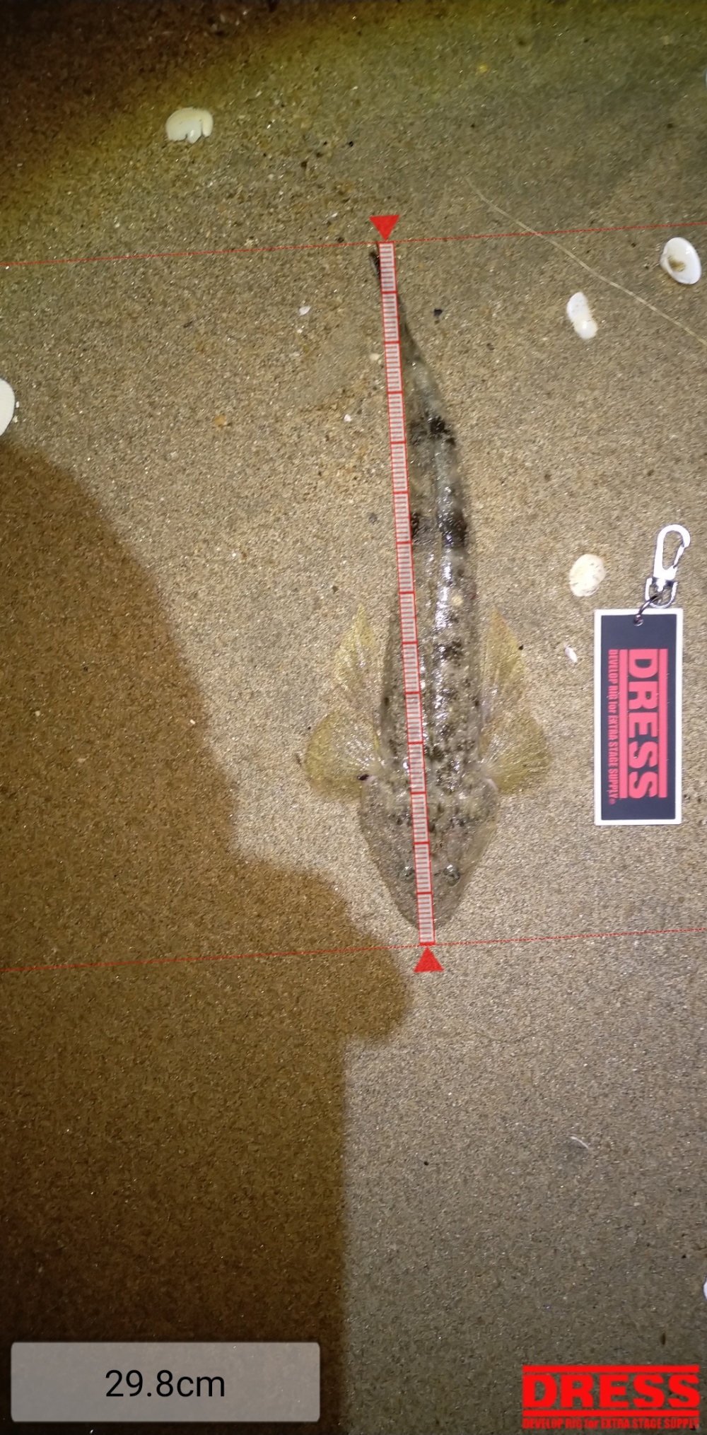 11215_0_cb8c5740a373729fbe24d278fae4d5f9