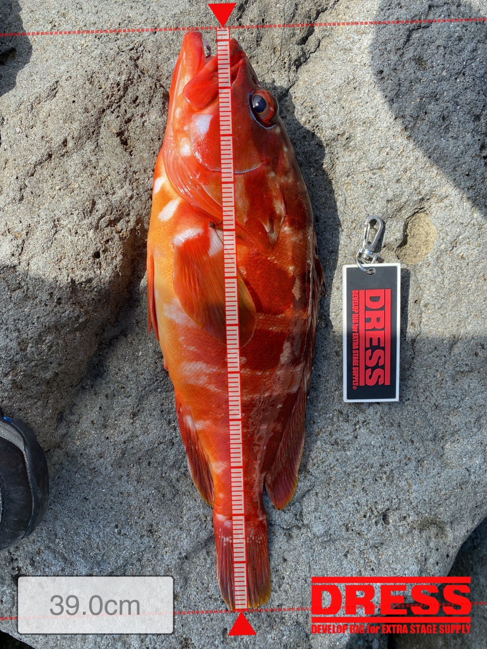 11238_0_af5f161ba536b9e35922c6c00e5260b4