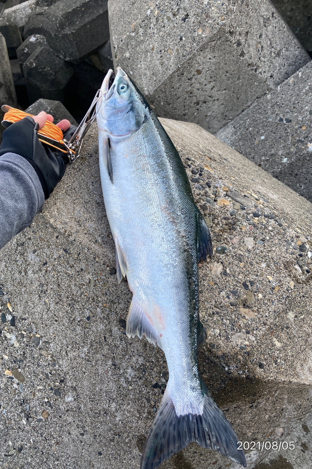 11253_0_0833edf53d241e091f5b7a0426fbcc17