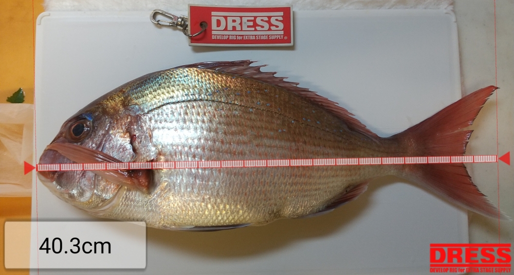 11264_0_6810bb2afb0954d822e1cd795bd086de