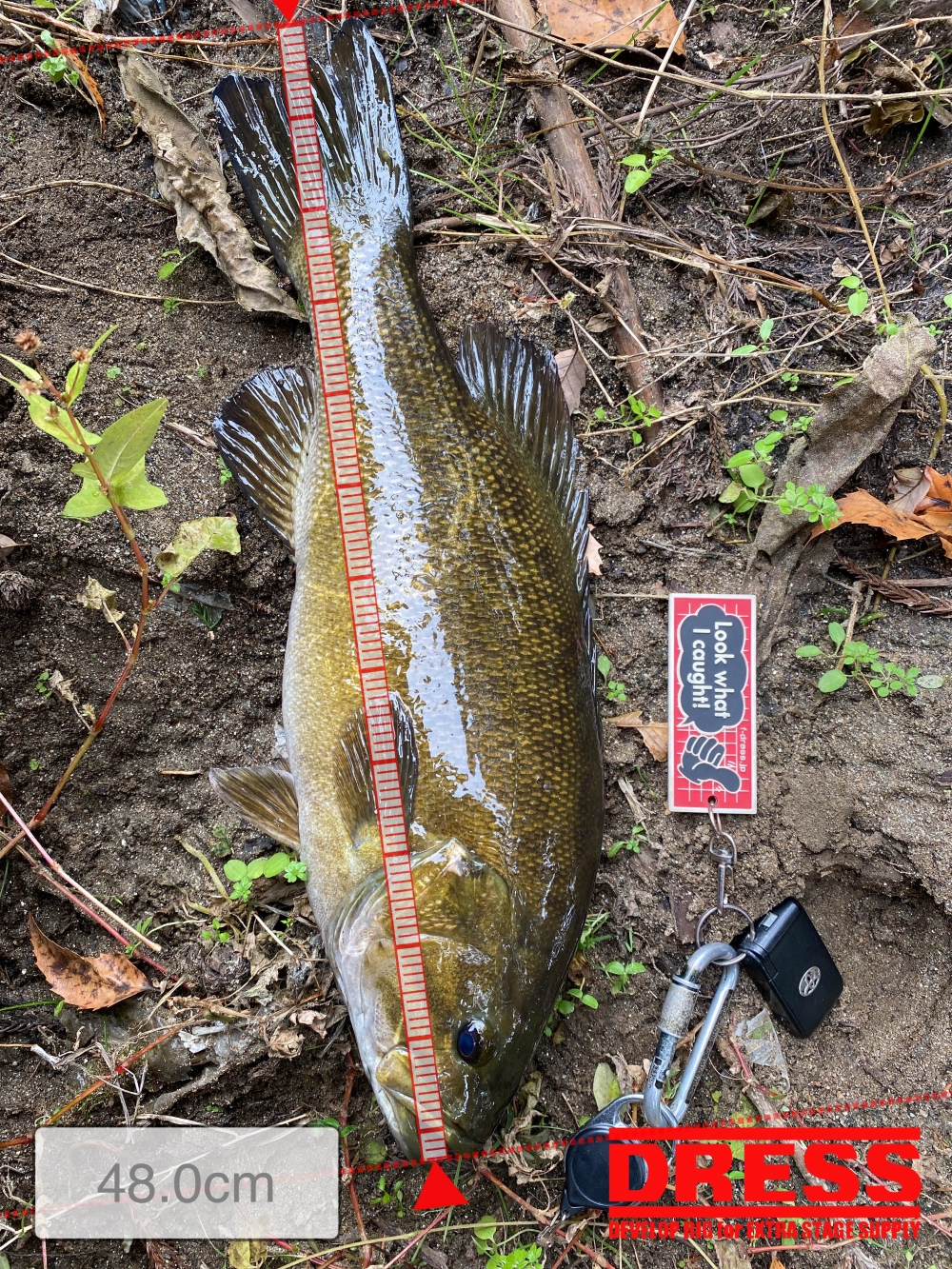 11271_0_fccd296884b1d593cab21e029feff5fe