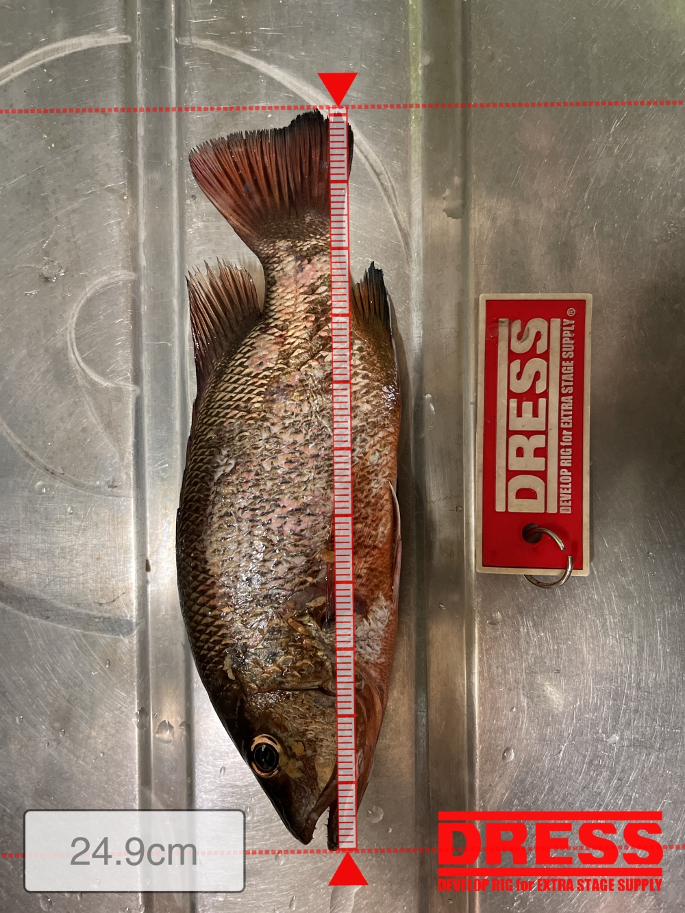 11291_0_fd5e03ea2c59fcd9805e93e90679f710