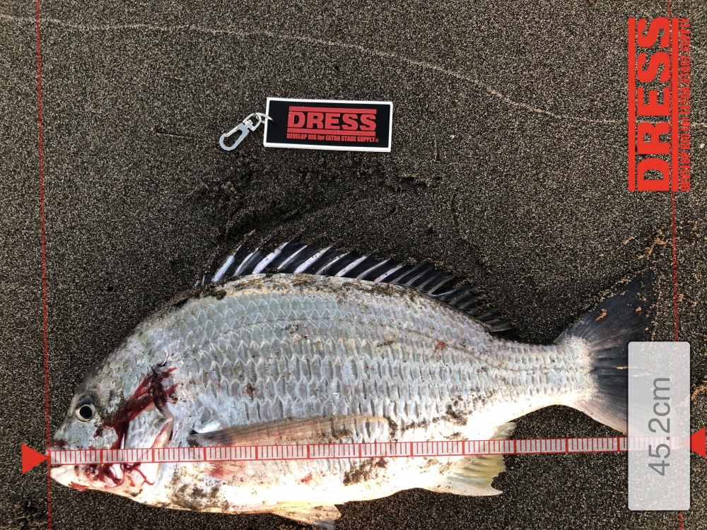 11319_0_1e0dfedf4411d488b328363a4c1c6afa