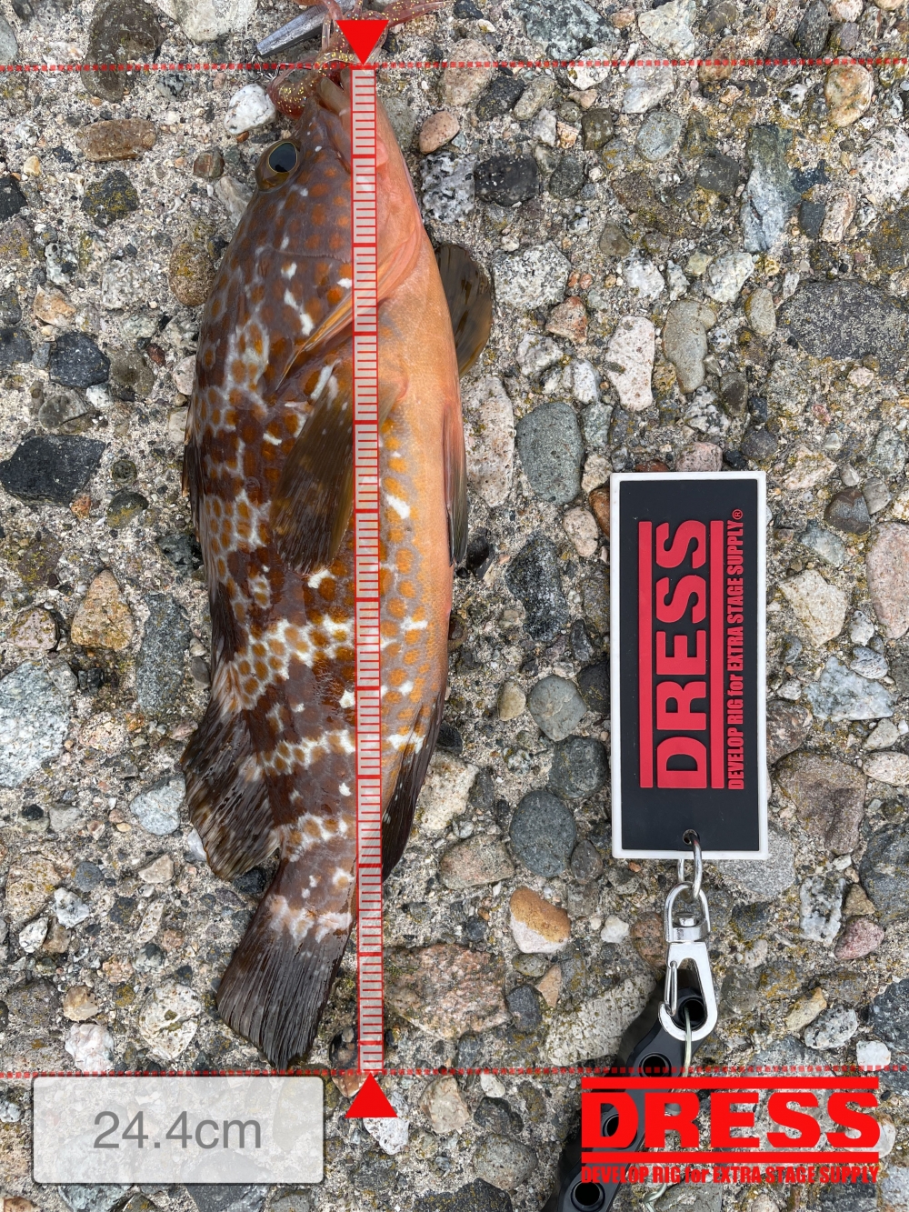 11323_0_ab1e36abe84da95a8e9e6deba691d7e6