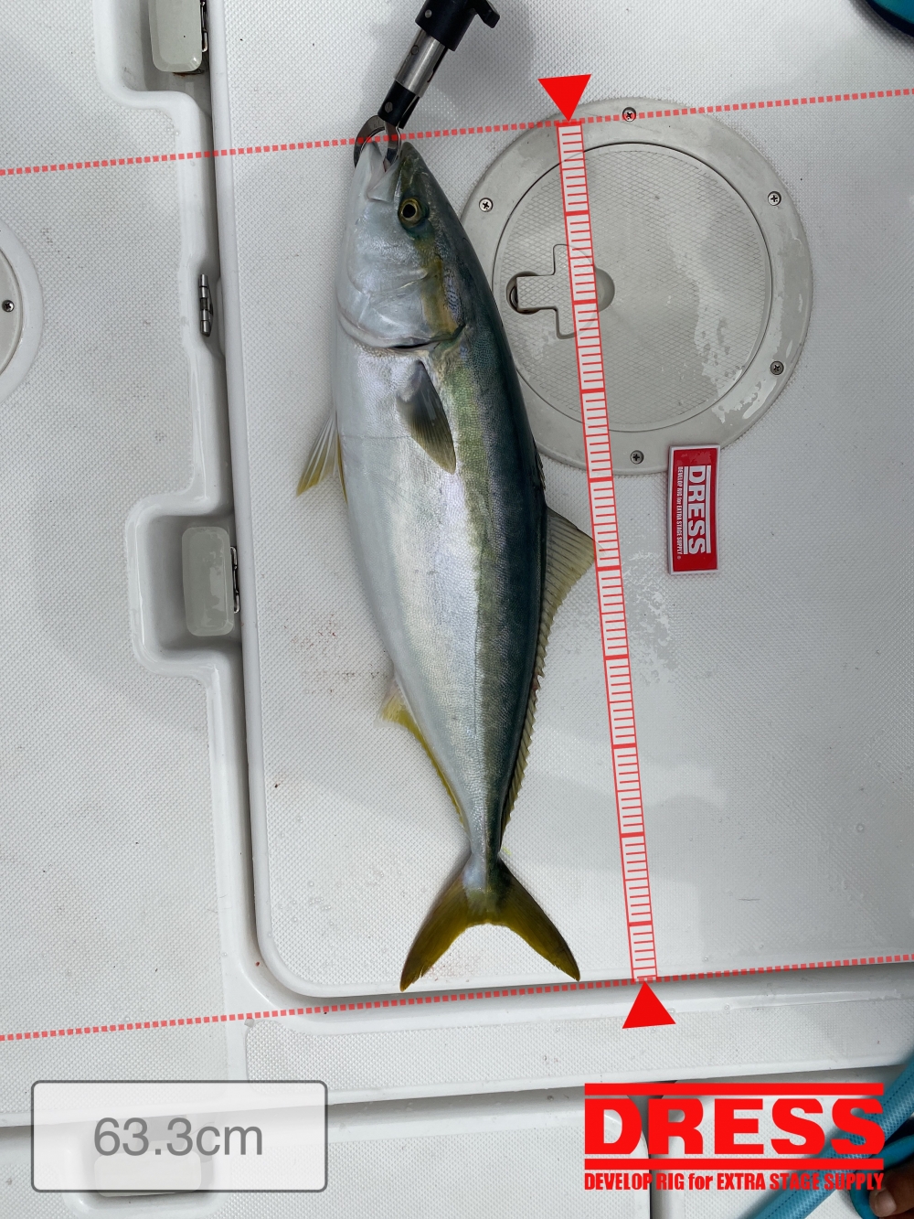 11331_0_8a28179d1cc22eec2ec912d50d212e49