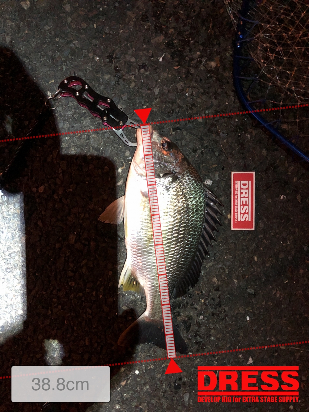 11346_0_71d0e714caf4f04e0422bedb753bac5b