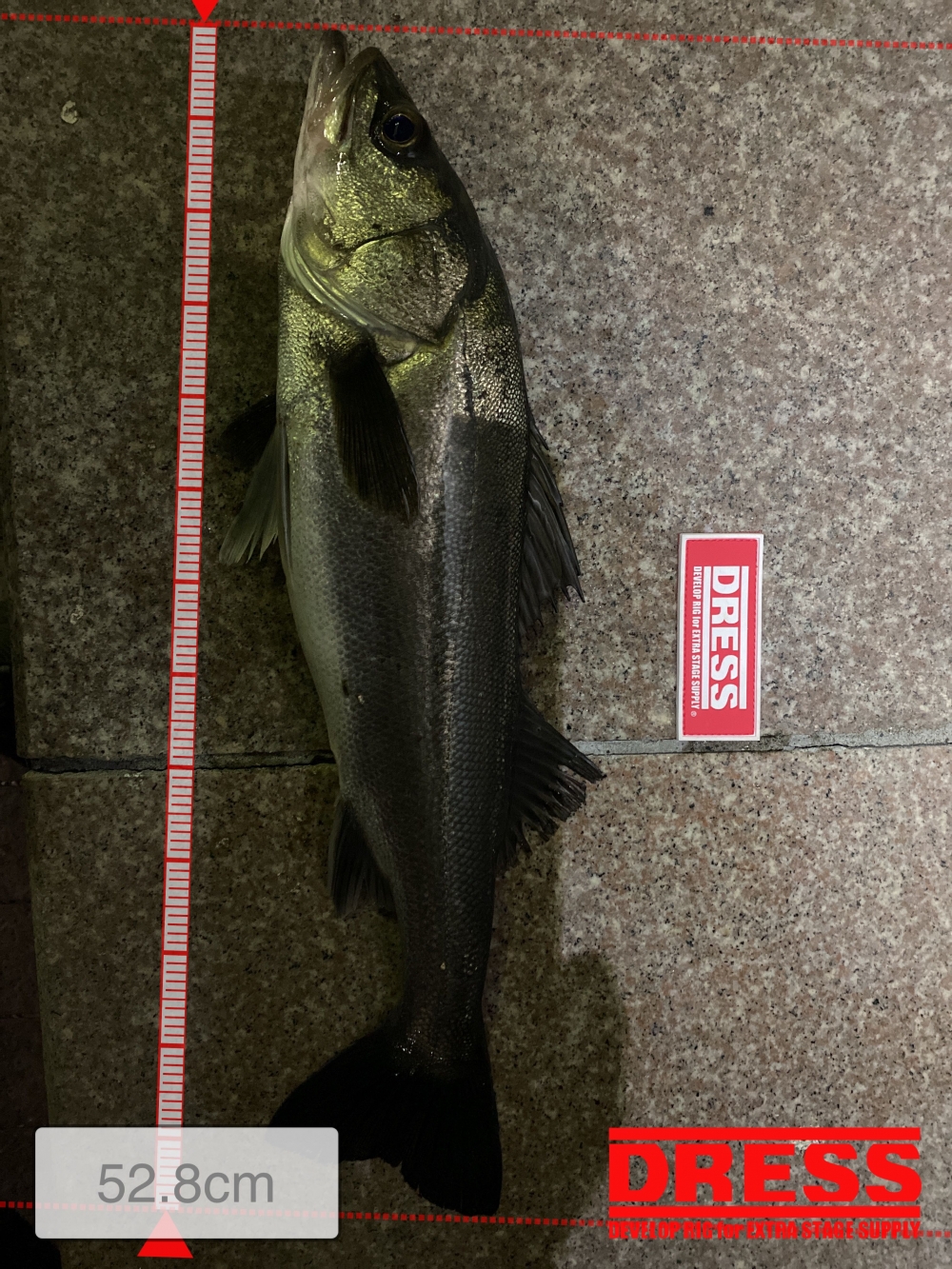 11346_0_9c245df8d5c54ba2eaa958d6827c1c87