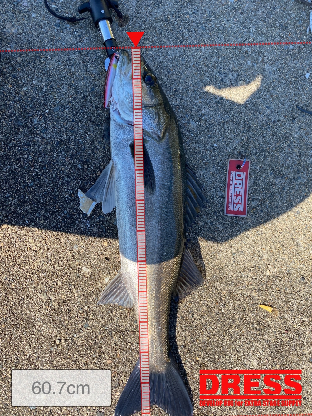 11349_0_ddbe182f641d52a697c2a6b747a0793e