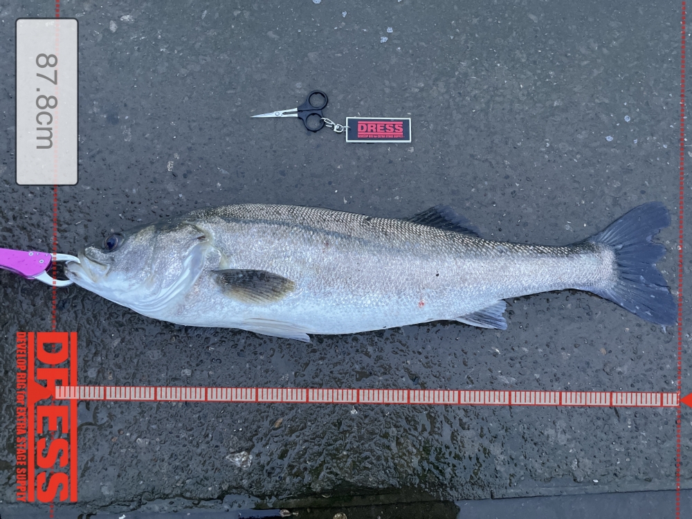 11358_0_7f7545513667cd9f4320cec569fe3b96