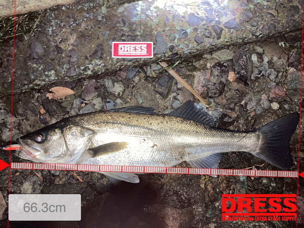 11392_0_15652dd524862c29e1bd584989508ed1