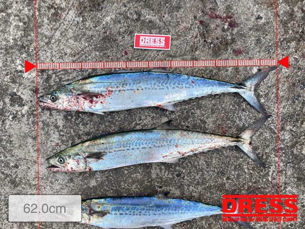 11392_0_3755d75fe01c9665283b7f43f84006a9