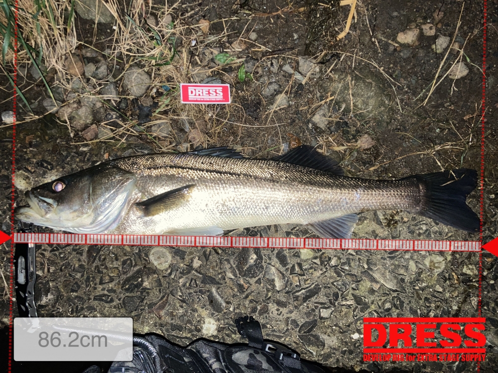 11392_0_6c99162ddbe3dbc1eb1115e5769e35b3