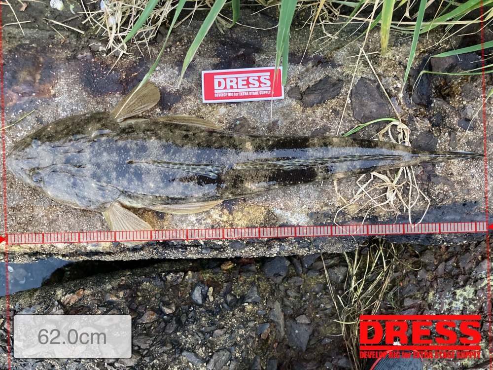 11392_0_72c25bea62ce23eb2c9c3682e6dd5ec9