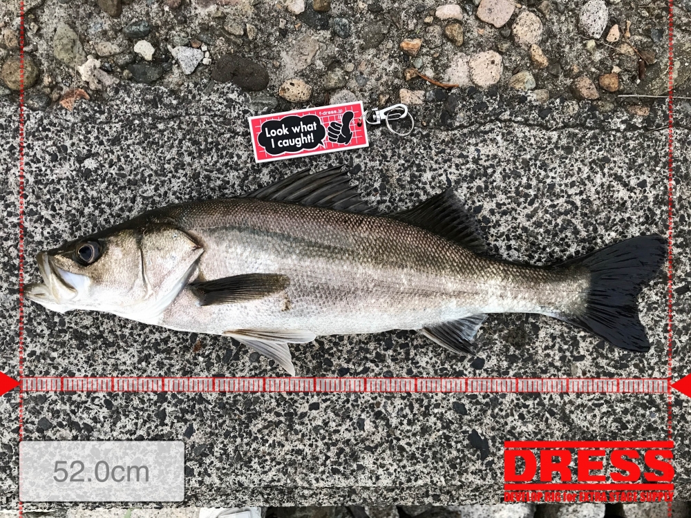 11400_0_44de8a46bd0c04f2a22cbe8b203bd76b