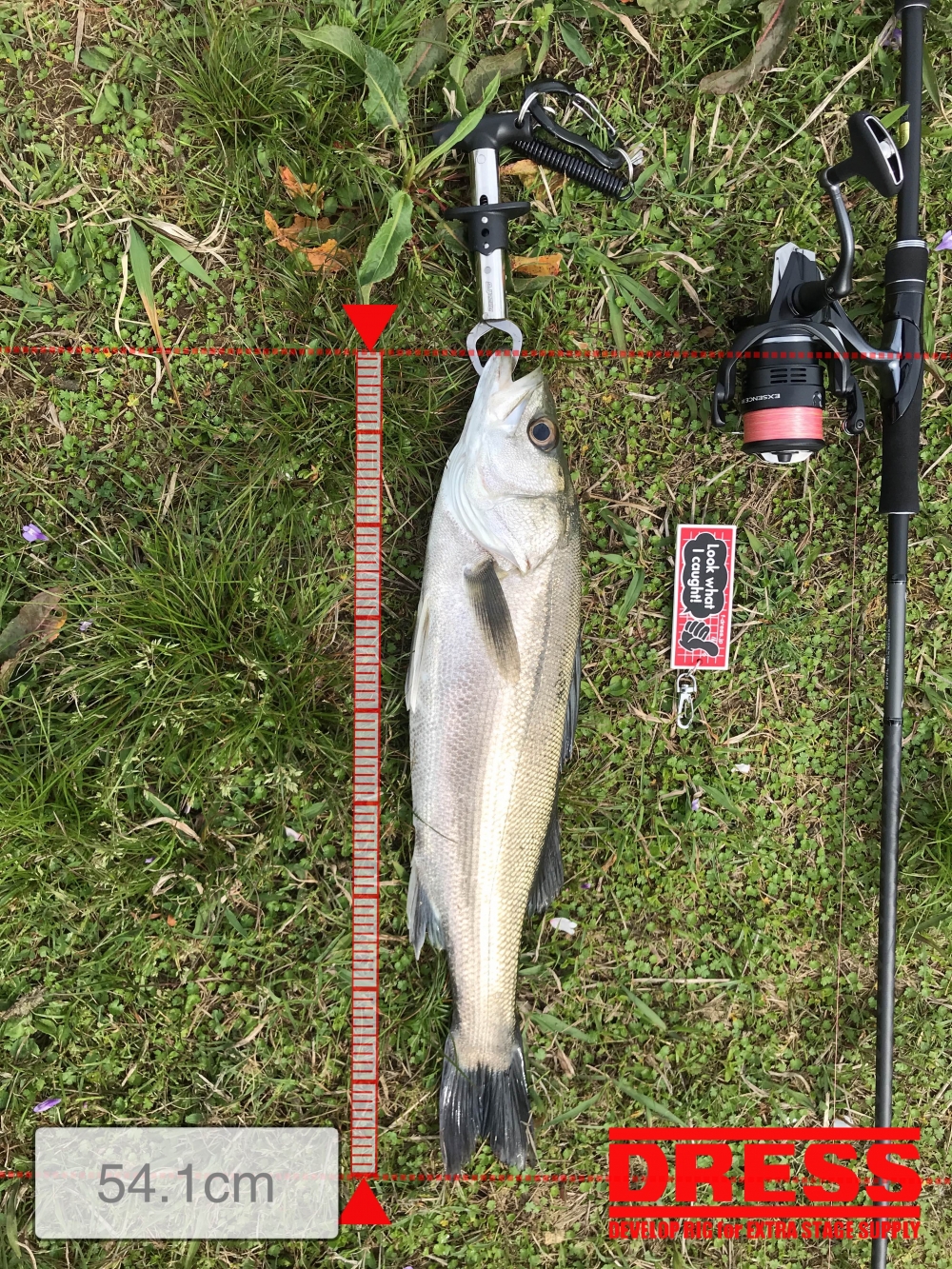 11400_0_56351131a60adac18b854221d4ed4d69