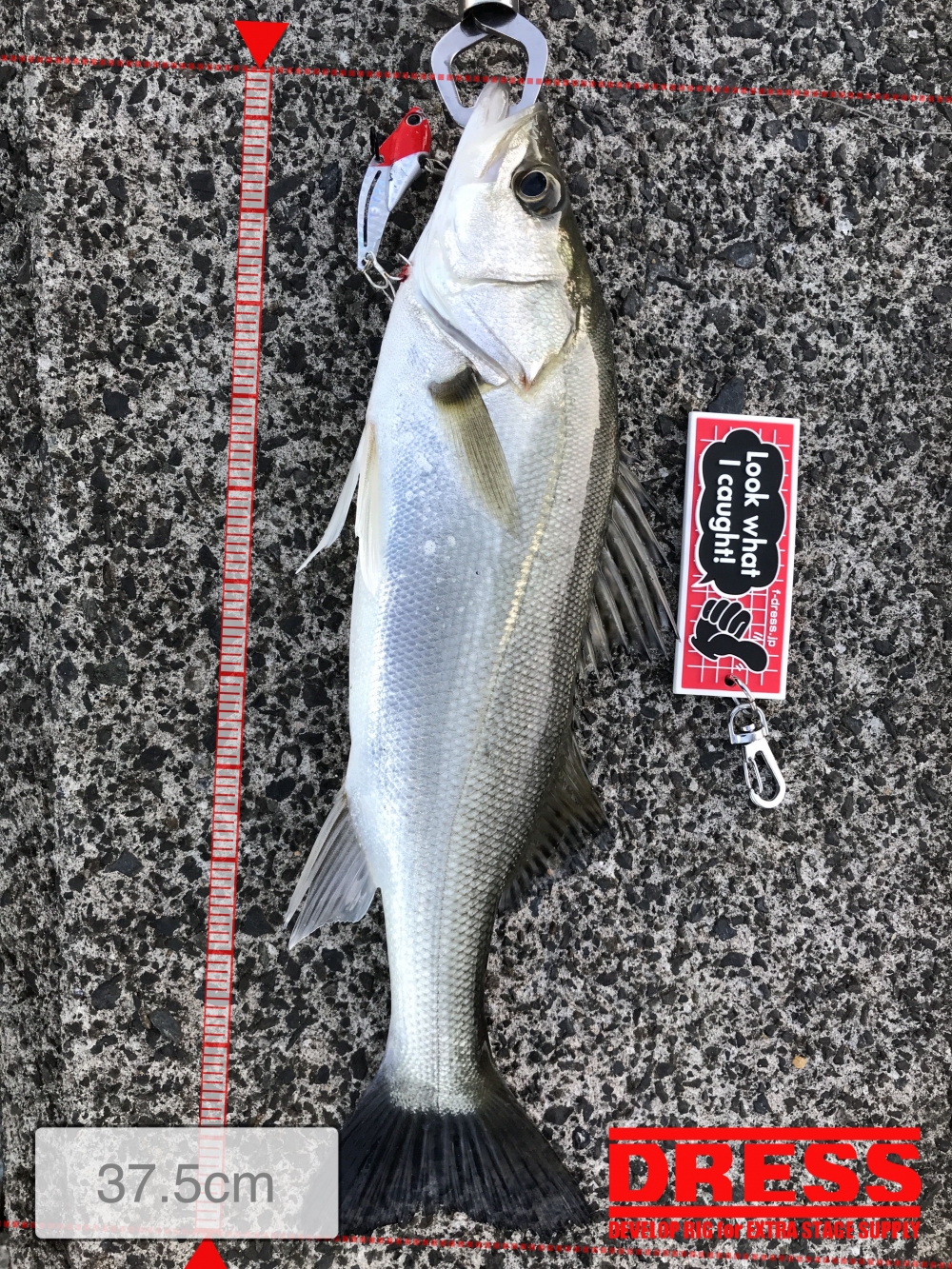 11400_0_6c5549aa6af64946ce0fda3fcf3e5201