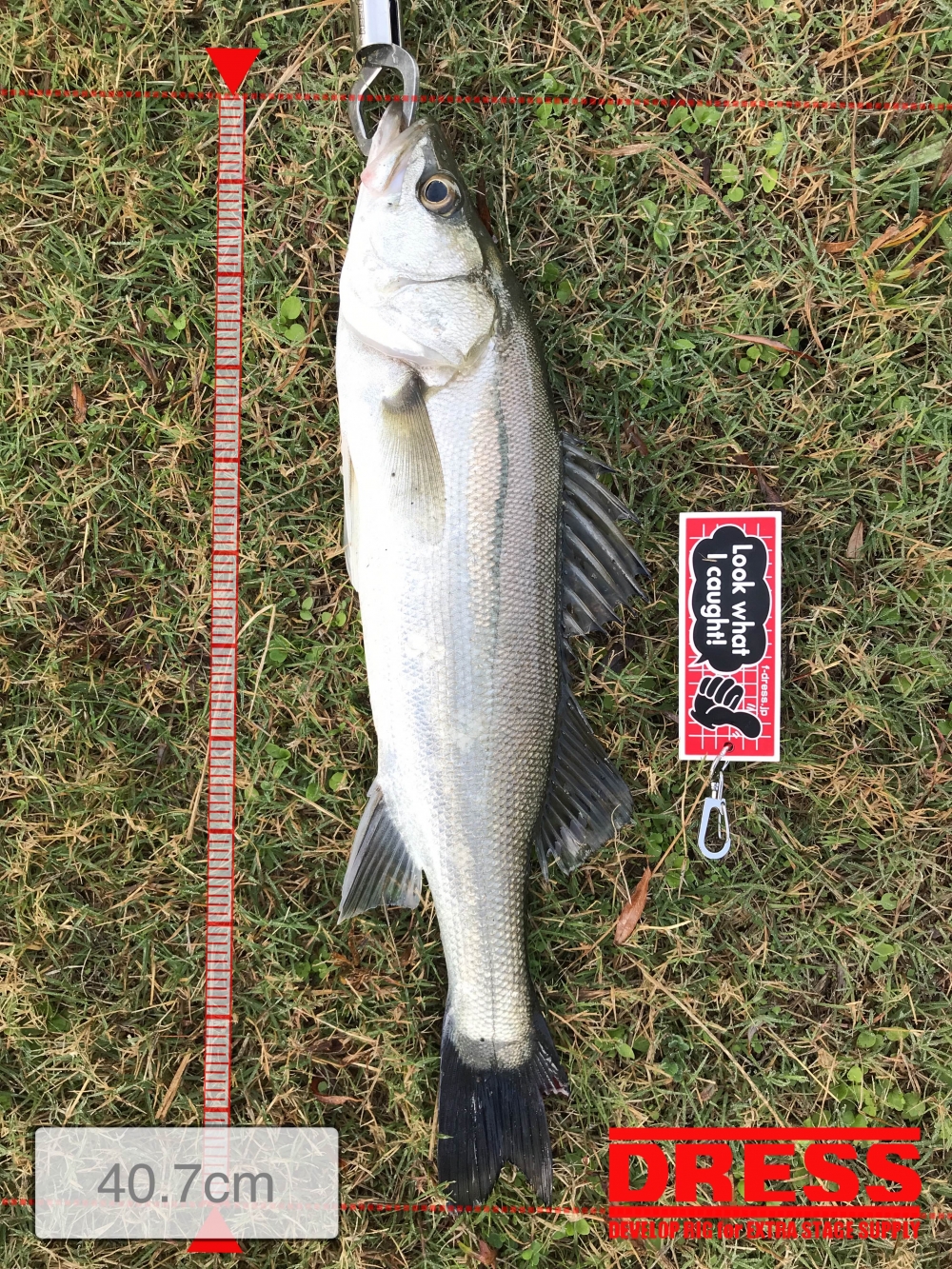 11400_0_70fa27e477dc7e9ddb8b53c4adc074c5