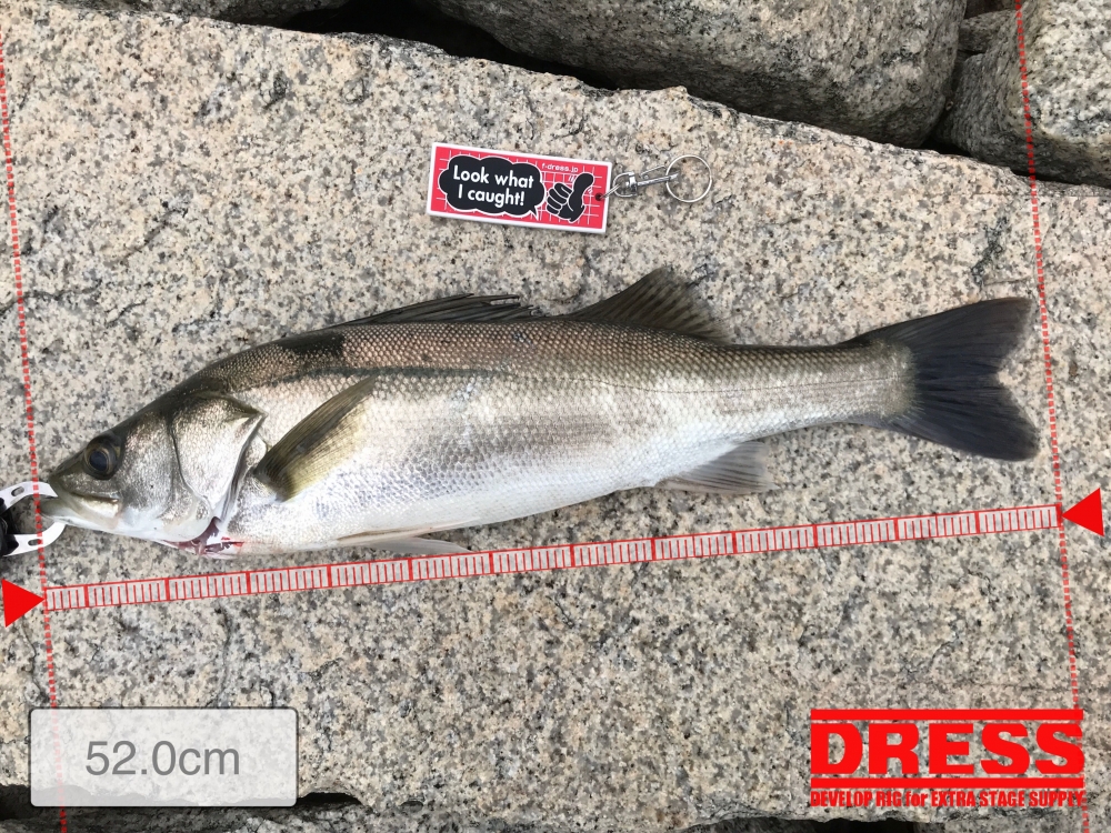 11400_0_767fe844510debdf75558a125d699927