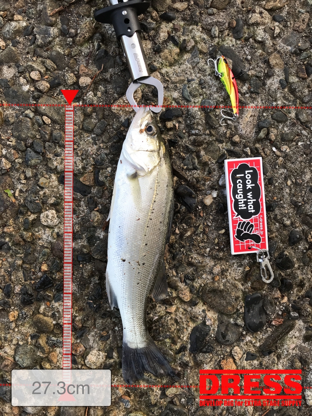 11400_0_7e3f822b5d2958685fb22568c9697216