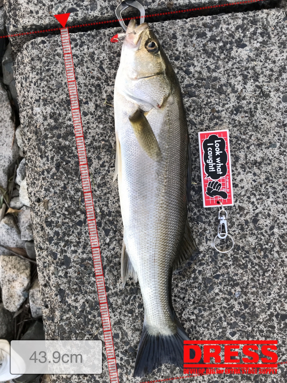 11400_0_9a32b6d302aad69afbc339315a898698