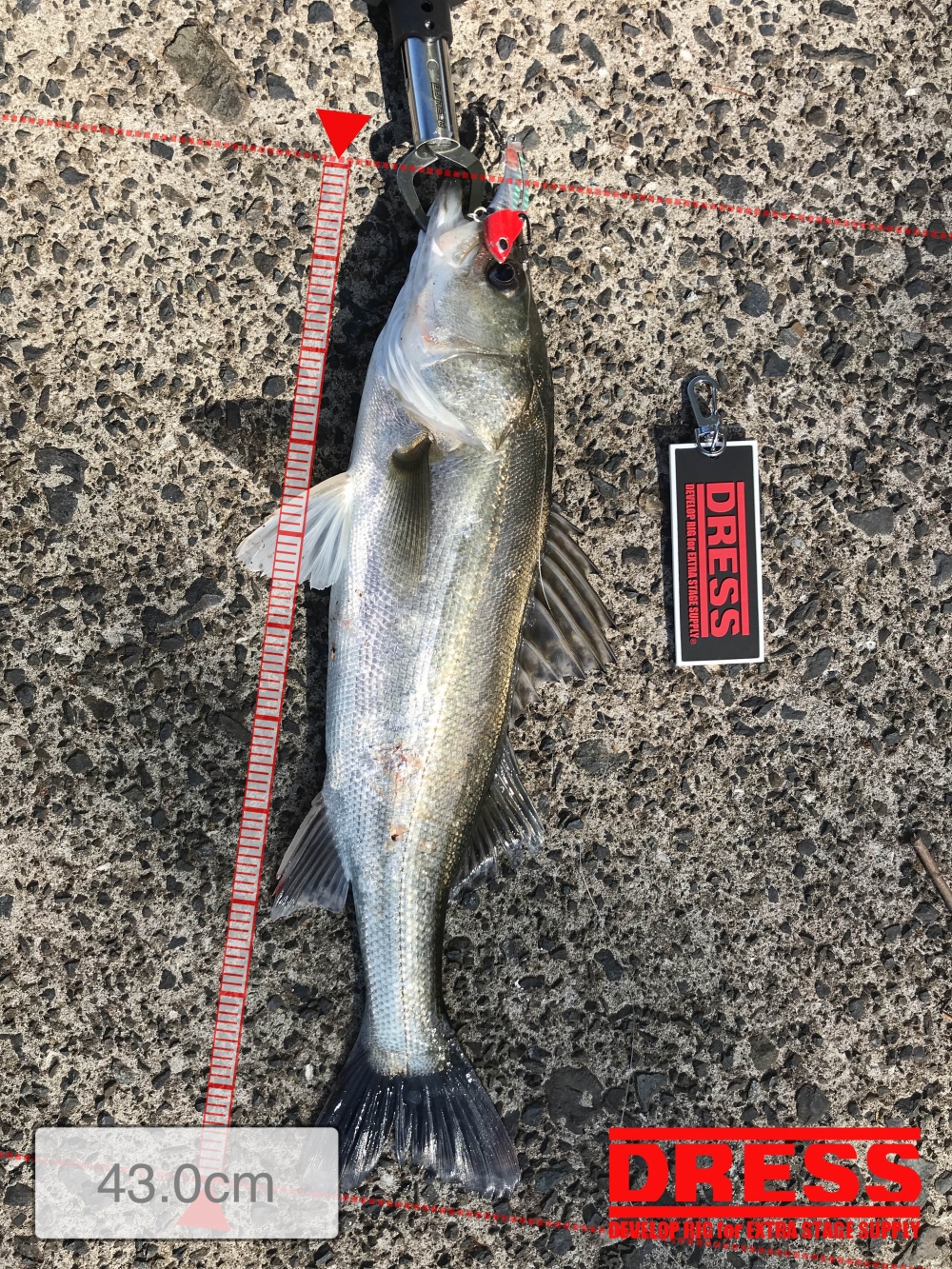 11400_0_9df1ee397e3f895c508ae9091bae4924