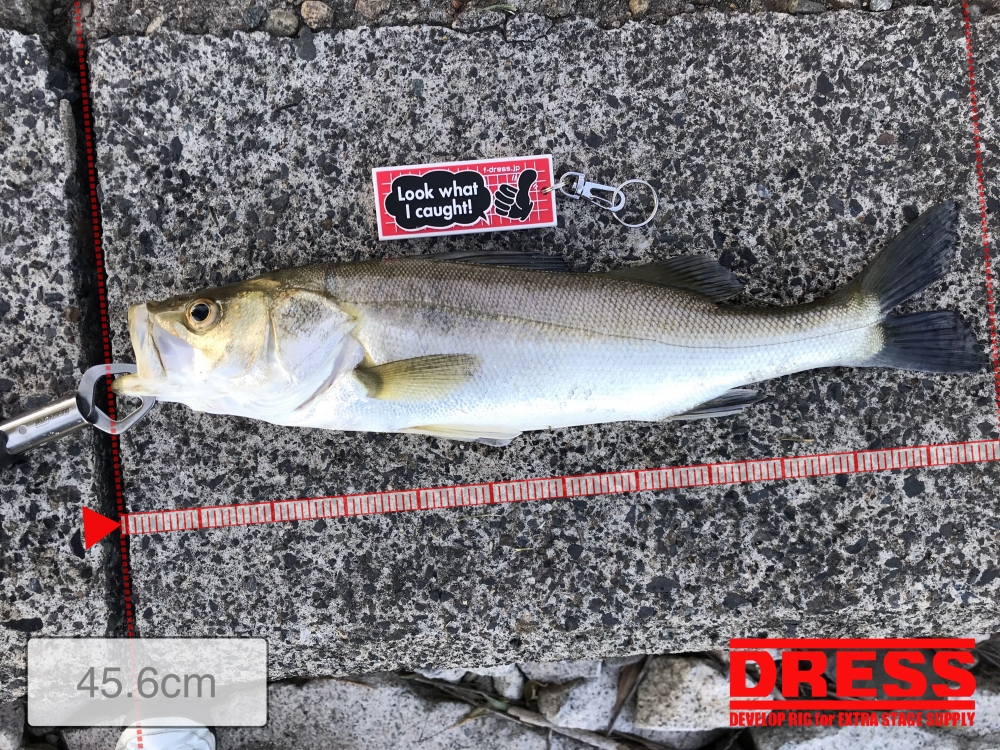 11400_0_aed0eb517f9bb9c7175fbfc1cc8d8c0c