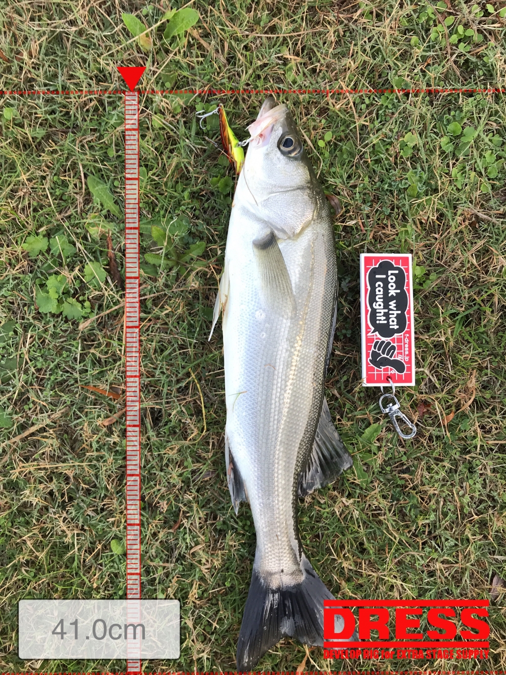 11400_0_cb899ccff3f8b6c8a90584f23db48b0e