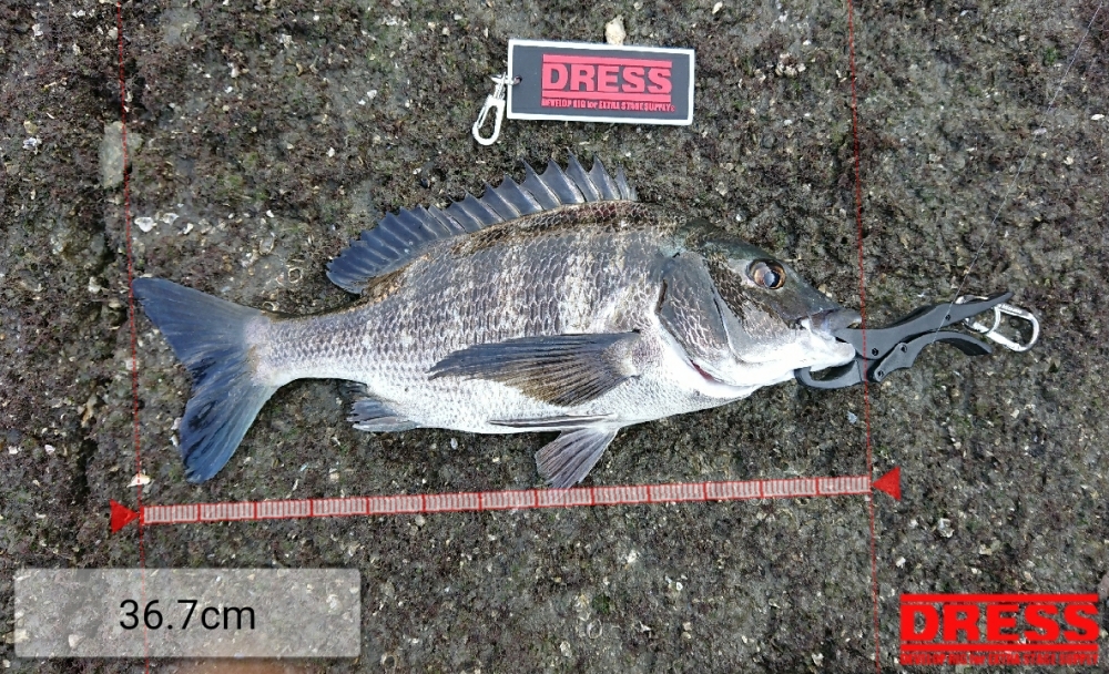 11446_0_4758ac9b728fad3e9c6d5e68ea93f469