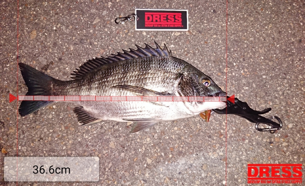 11446_0_d5006180949d80ea8b83daf321a153c6