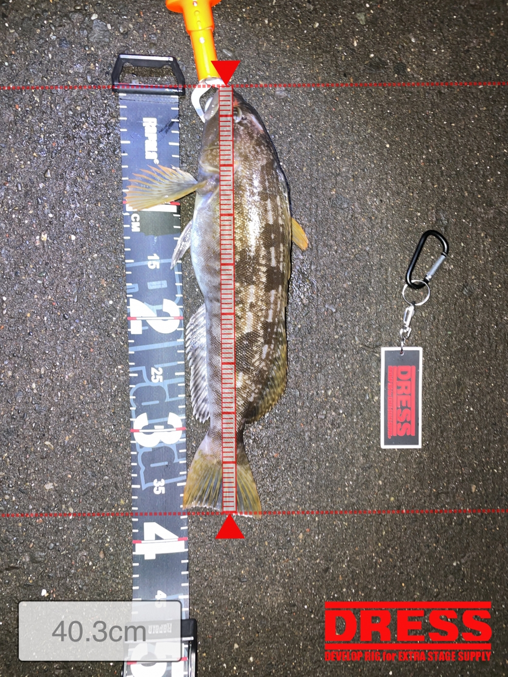 11453_0_cf8cc2290e54940d3af2c9110ab17c12