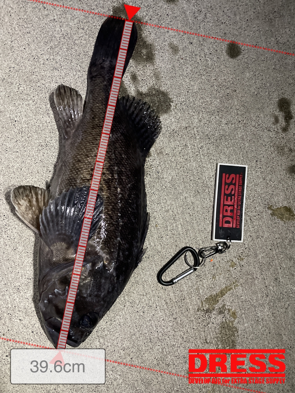 11453_0_e6670a66447bc751ebe201bebf7cd6bb