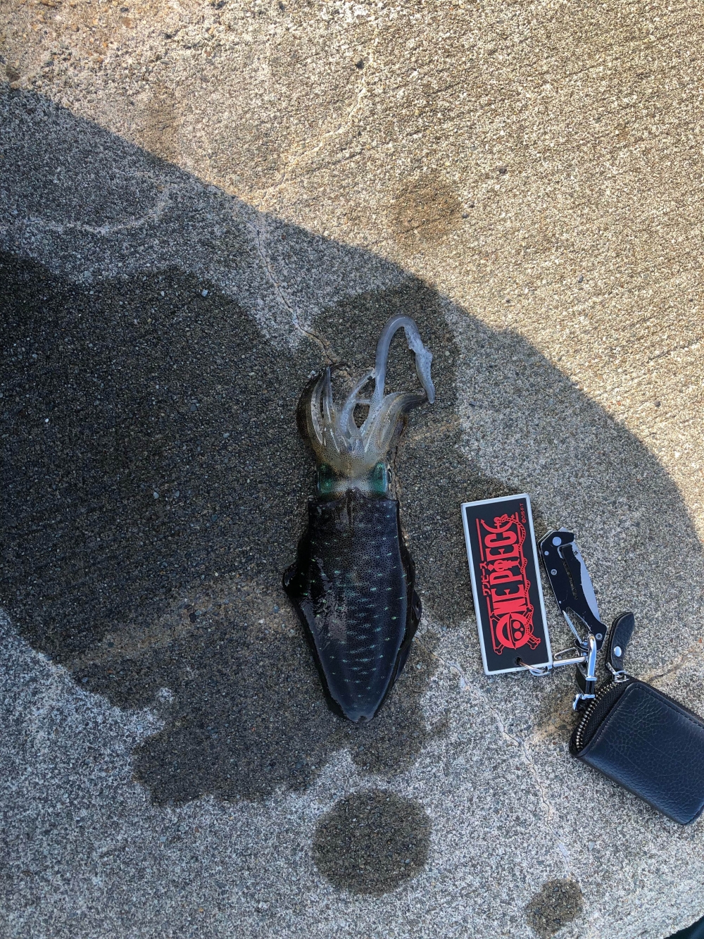 11457_0_f5db75f0da6ee148dd364916d43d5cd3