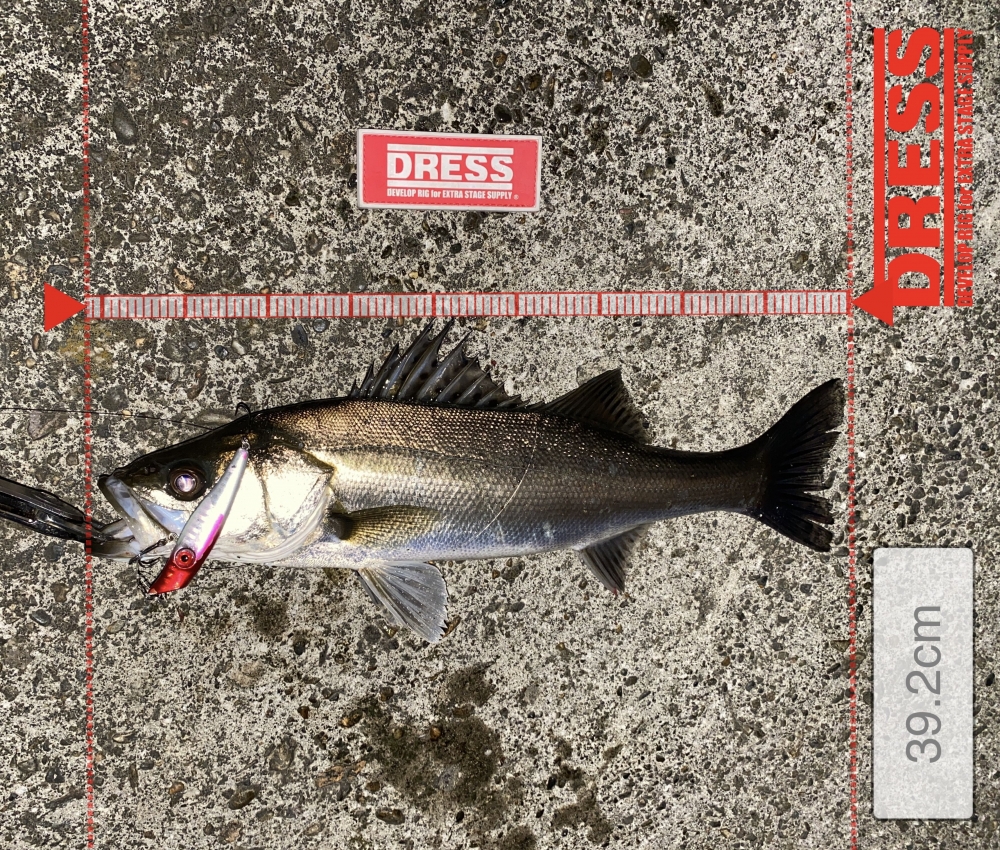 11489_0_41552455f044127ff4994f06c92fe83c