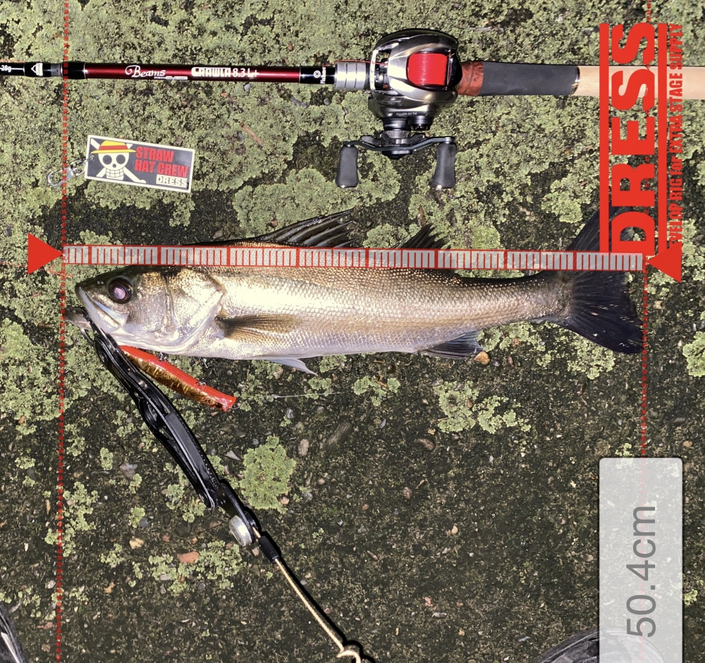 11489_0_bdc1575ce7b112da8348710c122409c7