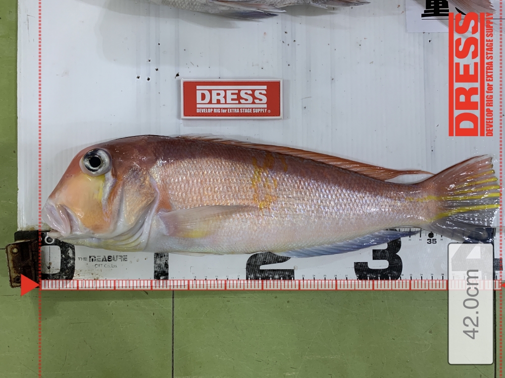 11526_0_538fd901170dc98d78d477f28a3a11ce