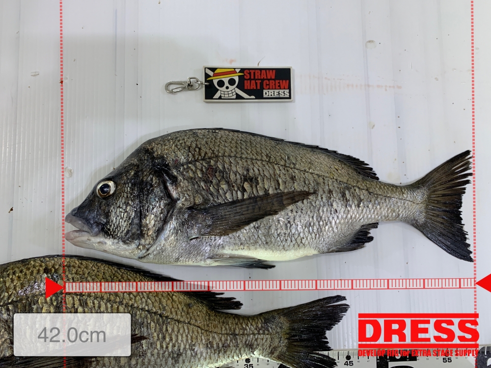 11526_0_76c13e3ae3570fc88b12dceaa86348f5