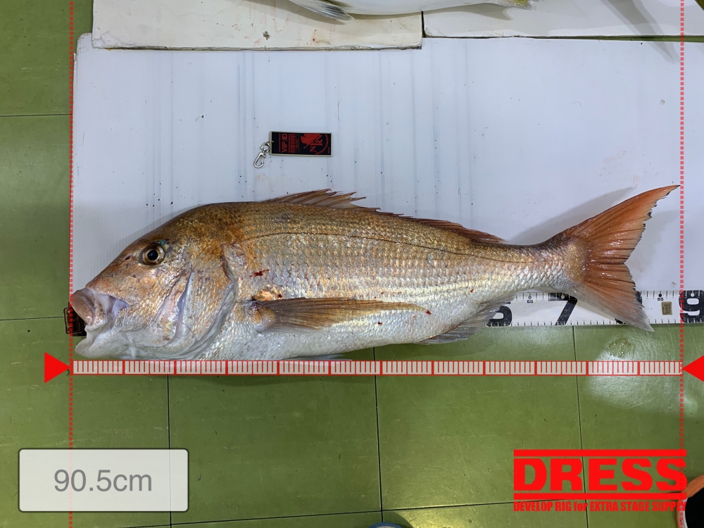 11526_0_8611d27d0f1491679a268e4ab9684887