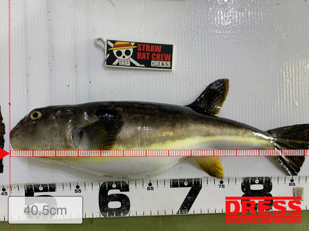 11526_0_87b671feb08544cf98a7726f4470462f