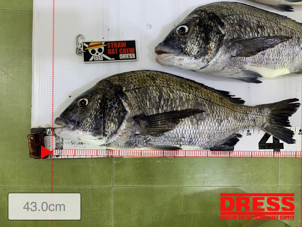 11526_0_8f7b10b94fdd4110a7f58da00d17ff07