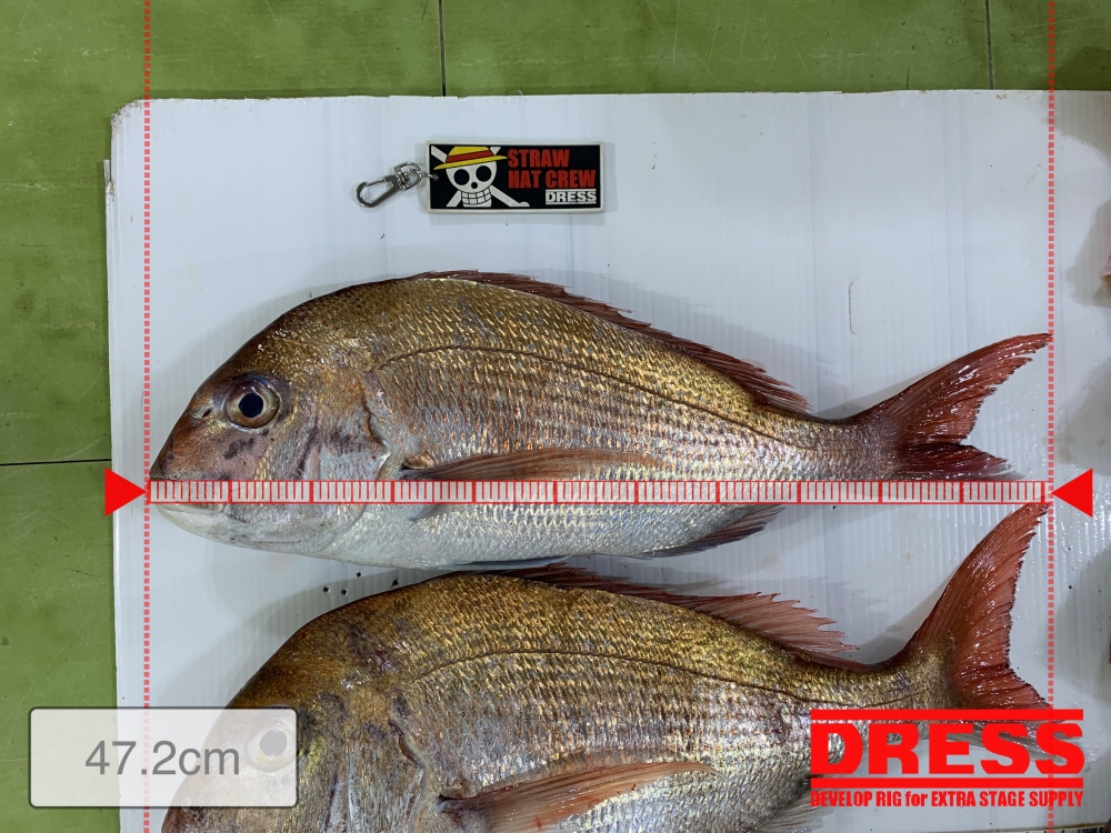 11526_0_c810291ddb43c94f948f853a62f7572b